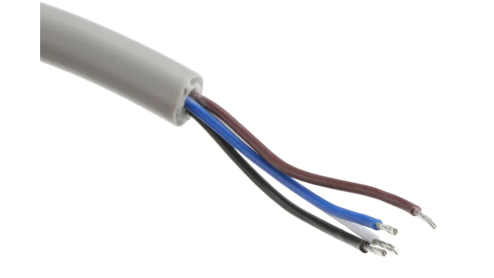 Interruptor magnético Sick RE13-SA-05